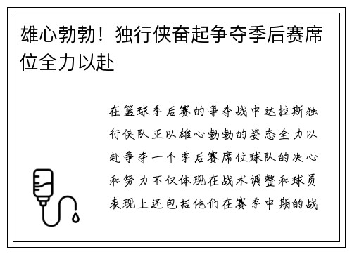 雄心勃勃！独行侠奋起争夺季后赛席位全力以赴